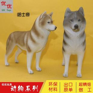 PL127 887仿真野生动物人类忠犬哈士奇儿童实心塑料模型玩具 886