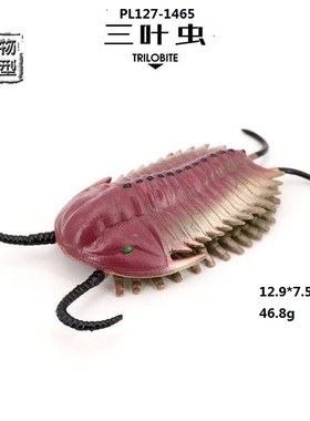 PL127-1465儿童仿真远古动物模型寒武纪海洋生物三叶虫儿童玩具