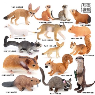 儿童仿真野生动物模型天竺鼠松鼠大耳狐袋鼯河狸水獭认知摆件玩具
