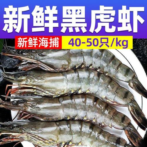 北海湾黑虎虾新鲜大虾鲜活虾子中号冻虾老虎虾鲜活海鲜水产批发
