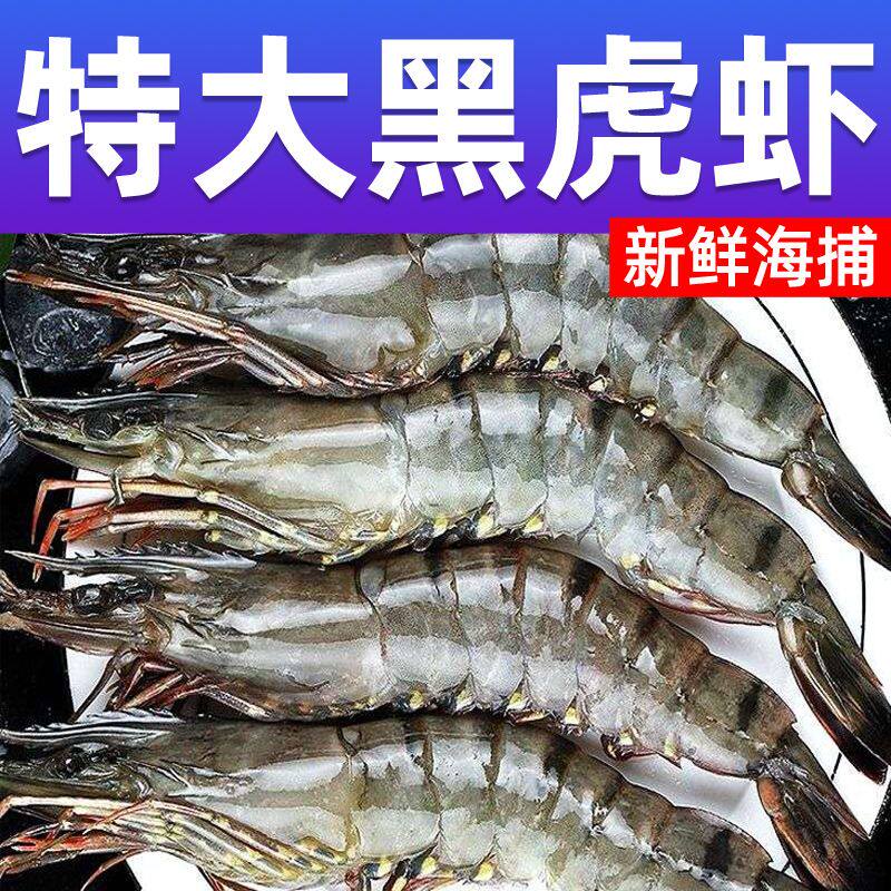 北海湾正宗黑虎虾特大号老虎虾新鲜冷冻鲜活斑节虾整箱海虾批发