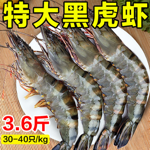 北海湾黑虎虾虾子大虾鲜活新鲜特大号2030规格3.6斤海鲜水产批发P