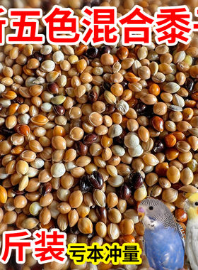 鹦鹉鸟食五色黍子虎皮牡丹玄凤中小型鹦鹉鸟粮混合粮小型饲料谷子