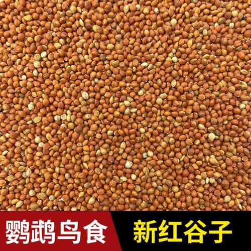 优质新货红谷子雀鸟食鸟粮大颗粒