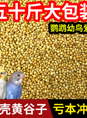 新黄谷子带壳小米鸟粮鸟食鸟饲料中小型鹦鹉虎皮牡丹玄凤50斤袋装