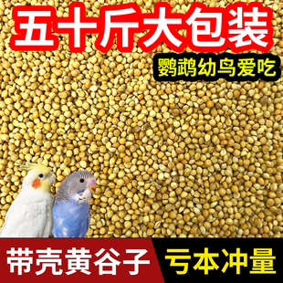 新黄谷子带壳小米鸟粮鸟食鸟饲料中小型鹦鹉虎皮牡丹玄凤50斤袋装