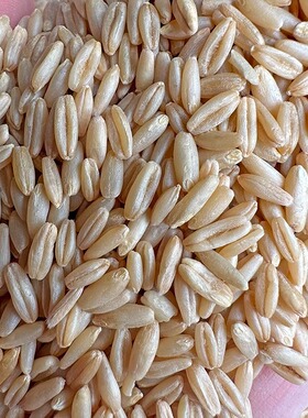 鹦鹉燕麦米鸟食鸟粮饲料玄凤虎皮牡丹中小型带壳专用混合粮五谷