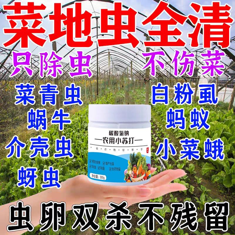 农用增产小苏打粉种菜杀虫碳酸氢纳去农药残留防虫害蔬菜花卉除菌