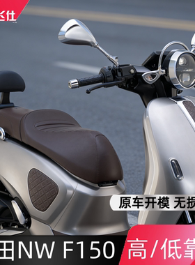天飞仕适用五羊本田NW F150复古靠背高低款靠背nwf150摩托车尾翼