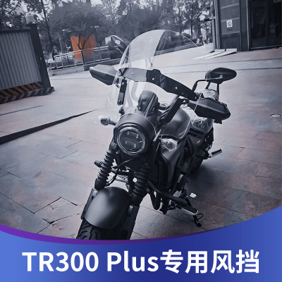 天飞仕适用豪爵TR300plus风挡改装TR300青春版挡风加高前风挡配件