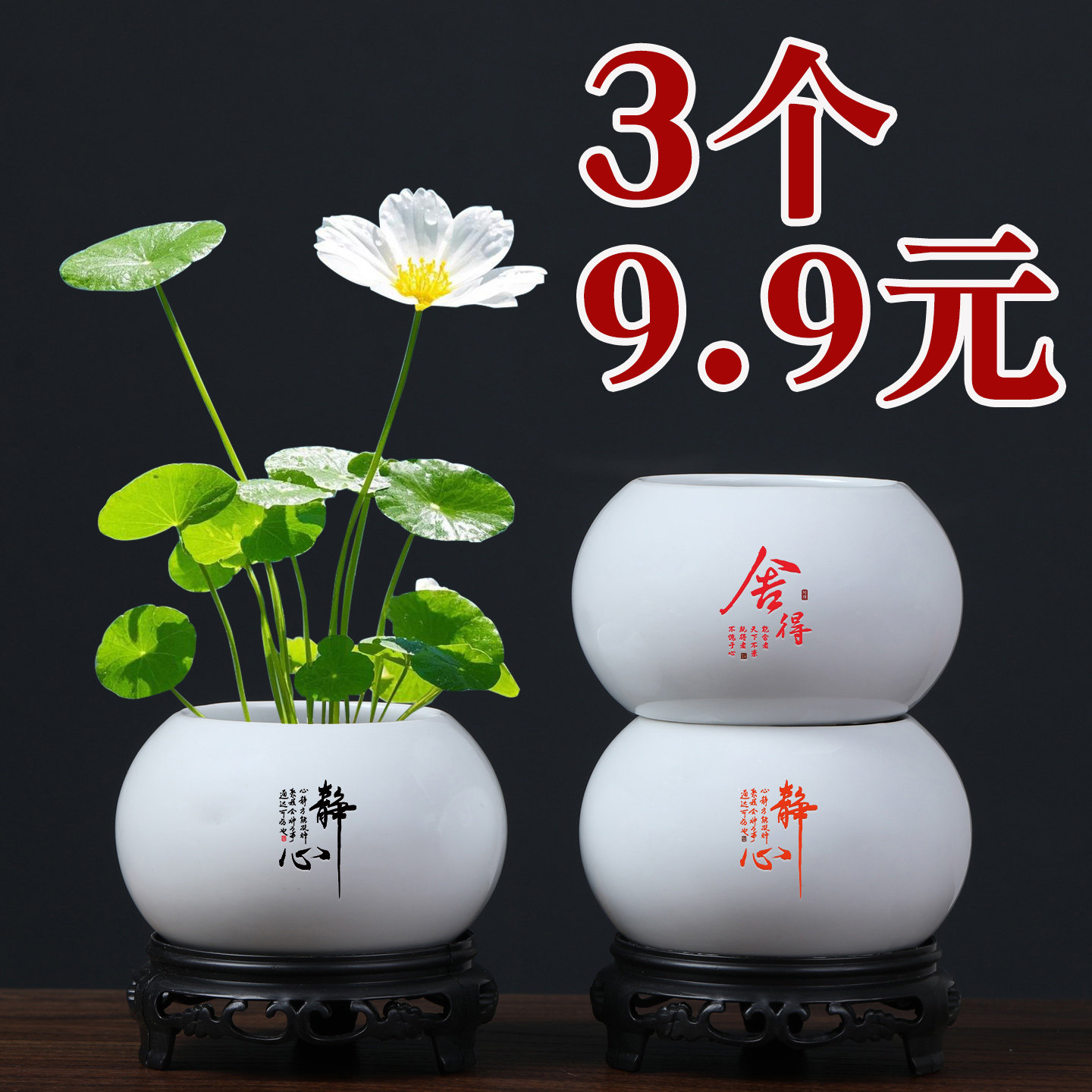简约白色陶瓷多肉文竹水培铜钱草小花盆无孔绿植容器桌面花器清仓