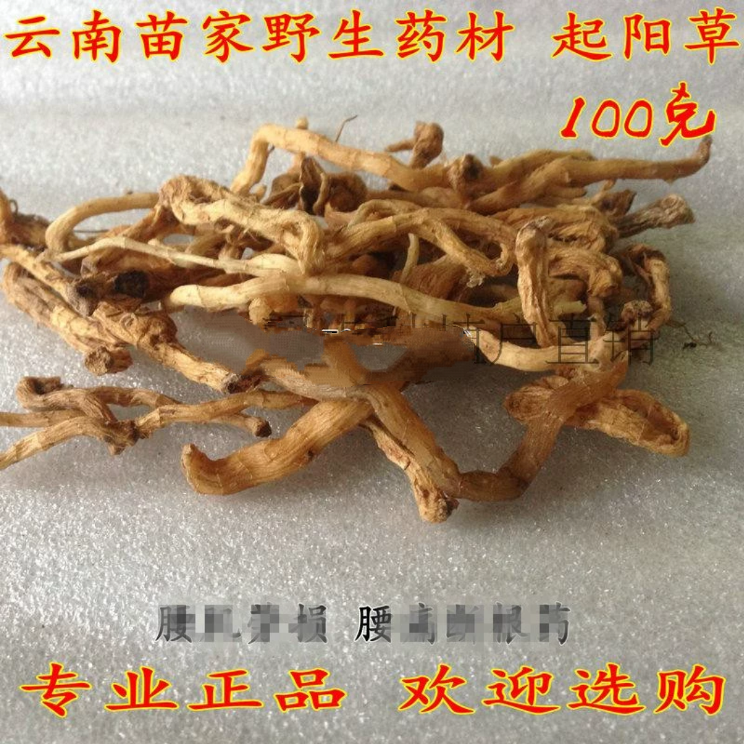 起阳草：云南苗家特产 中草药   腰酸腰痛 中药材 泡酒料 药酒料