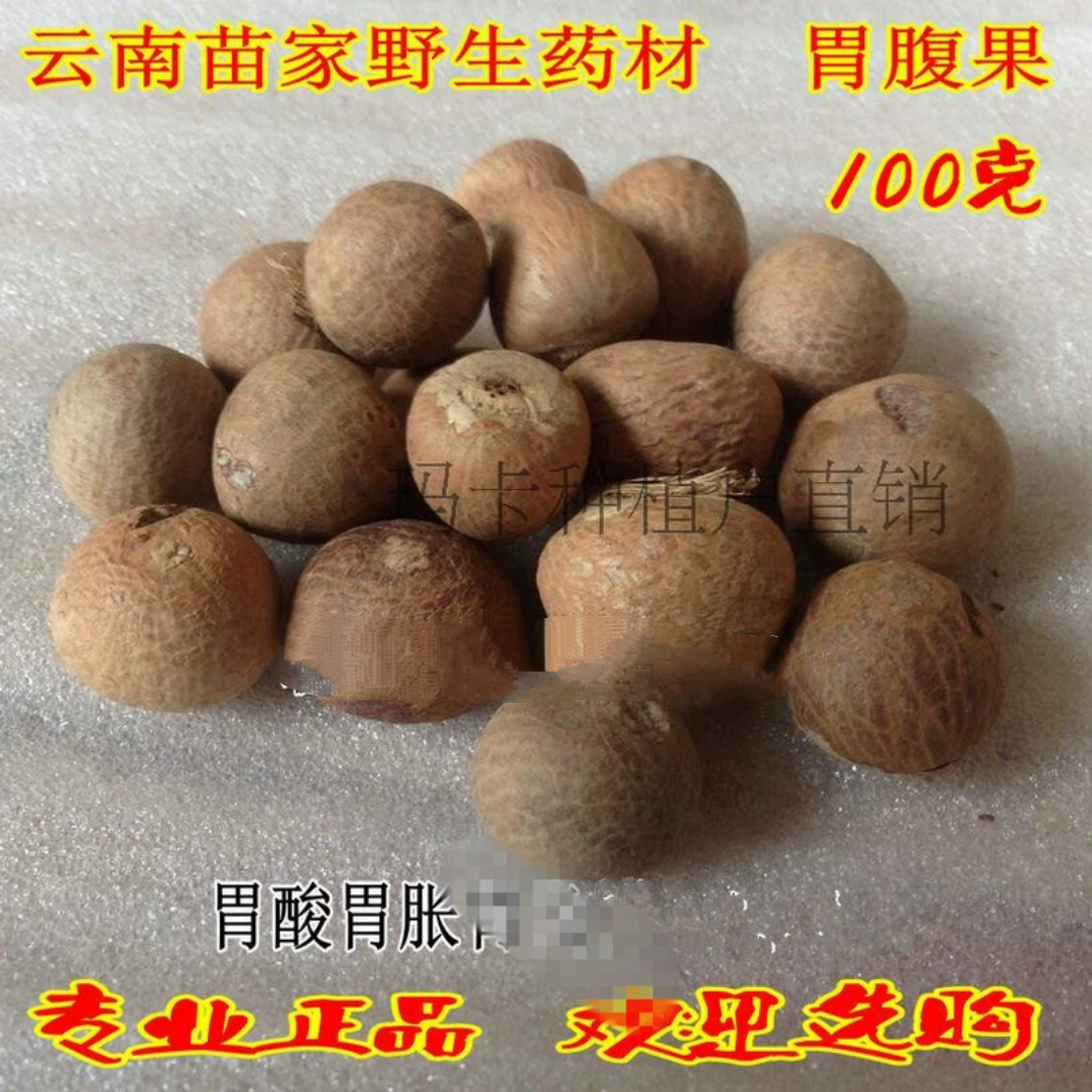胃腹果 云南苗家特产野生中药材胃酸胃胀胃痛中草药非药酒料泡茶