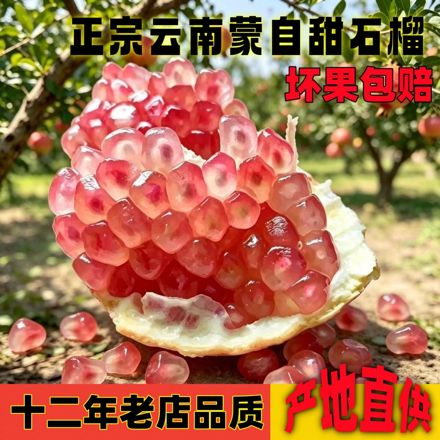 云南蒙自薄皮水晶水晶甜石榴直发