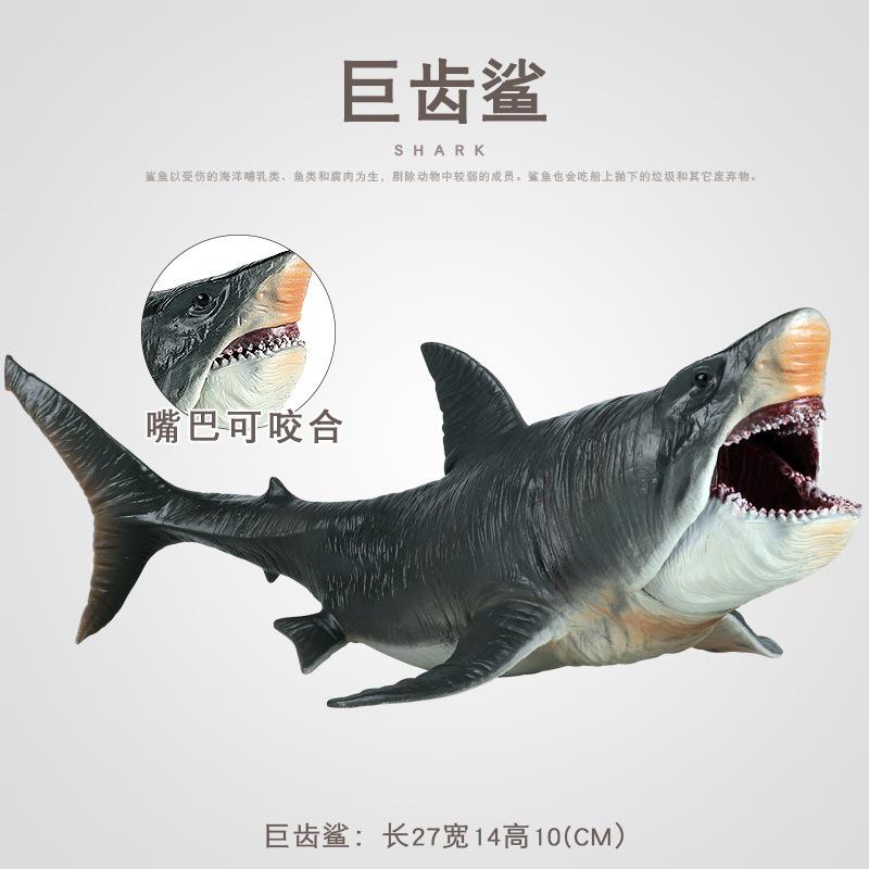 仿真史前海洋生物模型巨齿鲨大白鲨锤头鲨双髻鲨玩具儿童认知摆件
