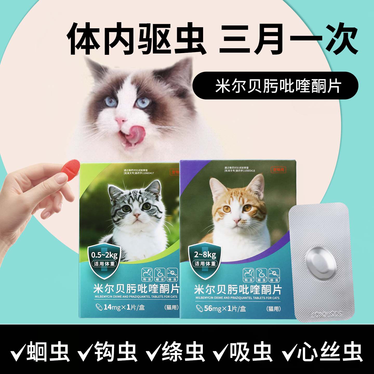 猫咪体内驱虫药小猫幼猫专用内驱药猫用驱虫药内服打虫药体内驱虫