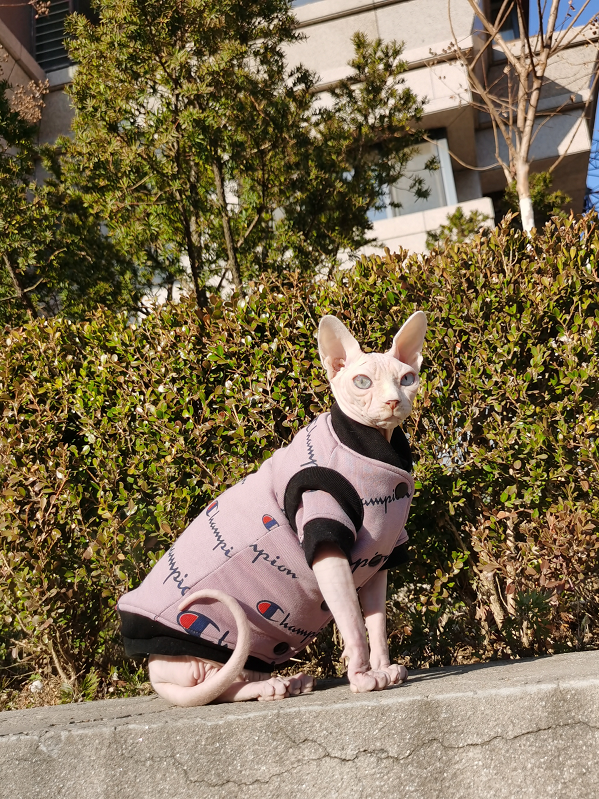 秋冬保暖羊绒棉无毛猫无缝缝制
