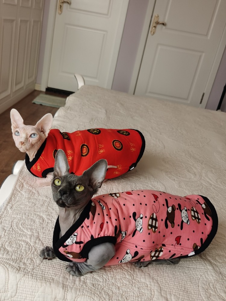 德文斯芬克斯春季绗棉衣服无毛猫短毛猫贴身不敏感牛奶丝夹棉背心