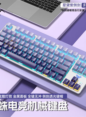 狼蛛87键青轴黑轴茶红轴RGB冰蓝光机械键盘 支援多媒体功能 电竞