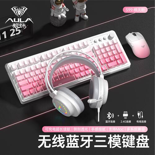 【十年老店】狼蛛轻音无线套装