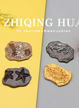 远古恐龙化石考古挖掘益智仿真