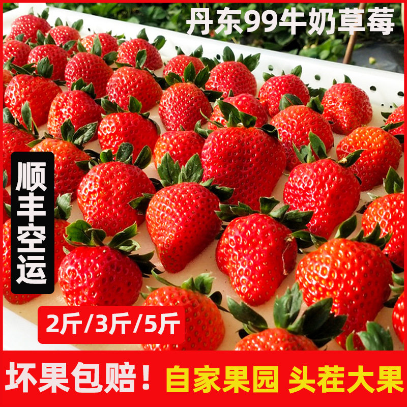 丹东草莓香甜可口季节特价