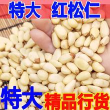 免邮 散装 费 净重500g 2024红松仁新货东北生松子仁新鲜原味大颗粒罐装