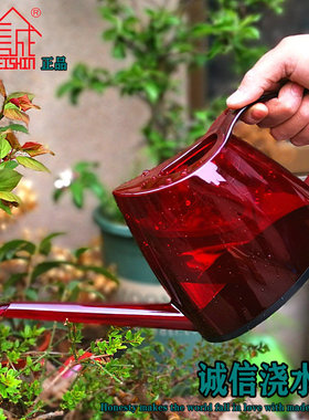 正品诚信SEISHIN缤纷透明洒水壶(椭圆) 家庭园艺创意浇水壶喷水壶