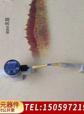 SURPASS 压力传感器 PTCD-12-MP300P