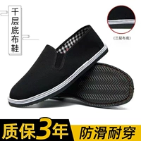 Отправить 1 пару [обычного черного фона] (весна и осенняя одежда)