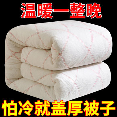 被子被芯棉絮垫絮褥子加厚棉被冬被保暖被褥垫被床垫铺床被褥铺底