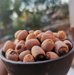 2025新货莲米新货 野生莲子红莲子新莲子干货有芯500g 1斤包邮