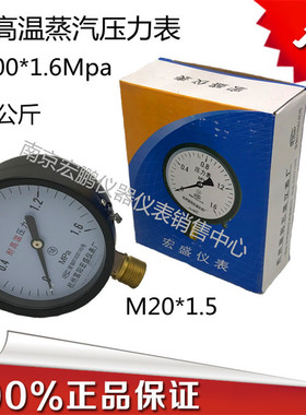 富阳宏盛耐高温压力表蒸汽压力表锅炉YTH-100*1.6Mpa水压表气压表