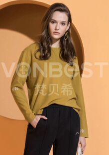 梵贝希秋冬新款女保暖圆领打底衫德绒卫衣T恤新品休闲上衣811005