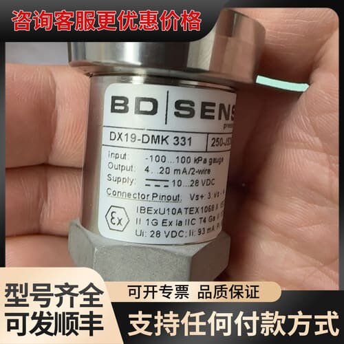 议价德国BD压力传感器DX19-DMK331可维修