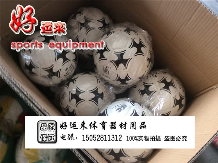 Ballon de volley - Ref 2012572 Image 4