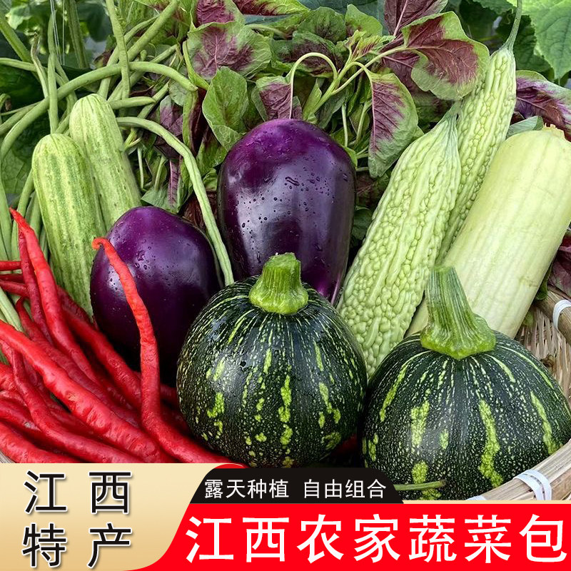江西新鲜蔬菜组合农家自种现摘
