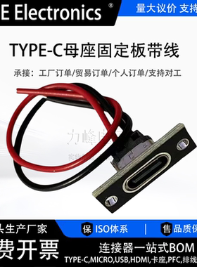 TYPE-C母座固定板带线 c口小电器diy改装充电焊线母插座usb连接器