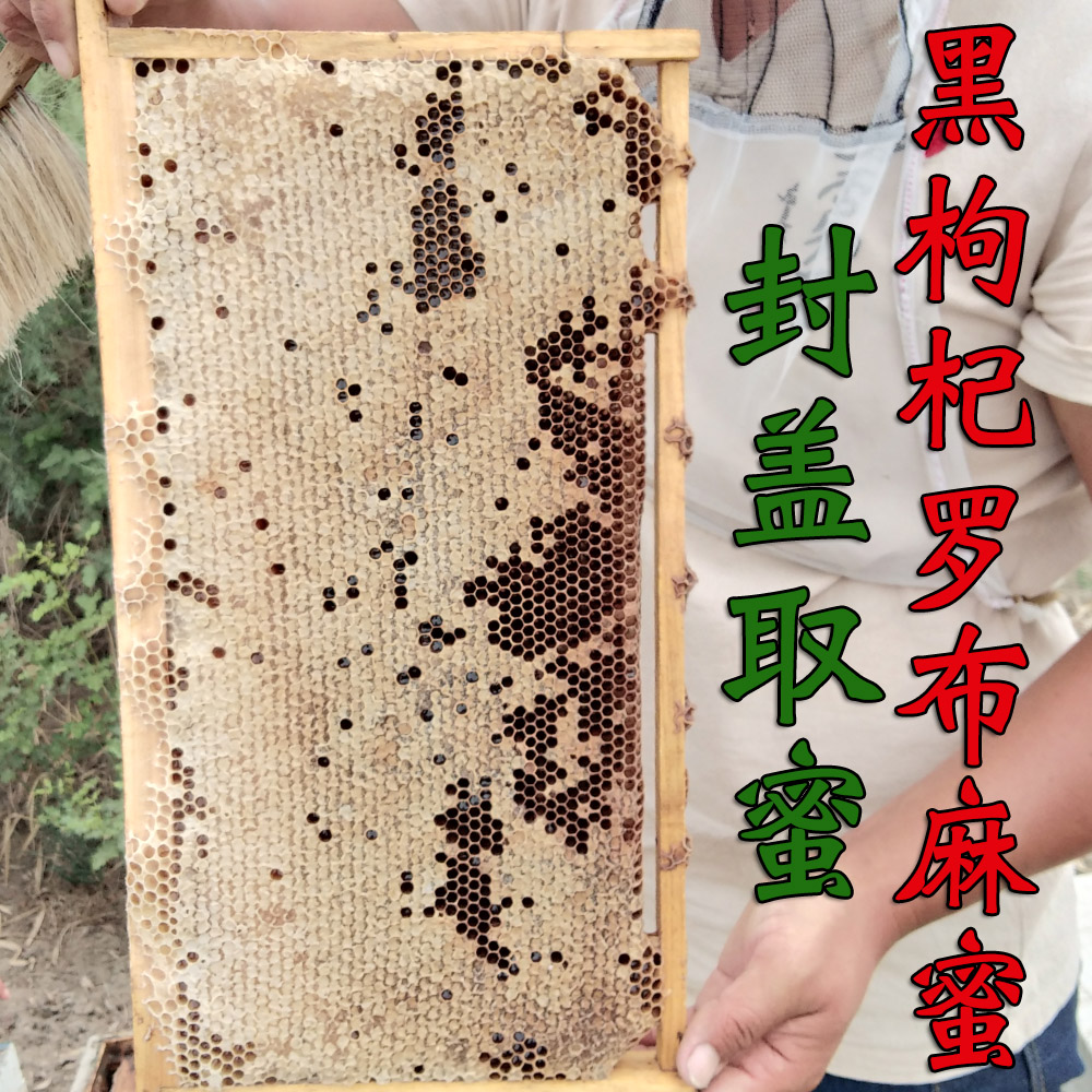 黑枸杞罗布麻蜂蜜一斤农家自产纯蜜新疆特产天然营养品无勾兑