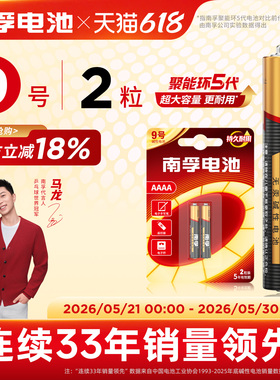 南孚碱性电池9号电池1.5V电子手写笔触控笔九号电池2粒AAAA电池手写笔蓝牙耳机遥控器医疗仪器电池