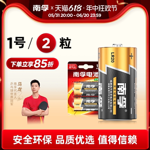 1号电池2粒大号一号碱性电池燃气灶热水器干电池手电筒电池煤气灶天然气灶电池专用1.5V碱性电池 南孚电池