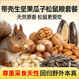 松鼠粮食坚果组合套餐魔王花栗鼠黄山红松鼠通用营养主食饲料套餐
