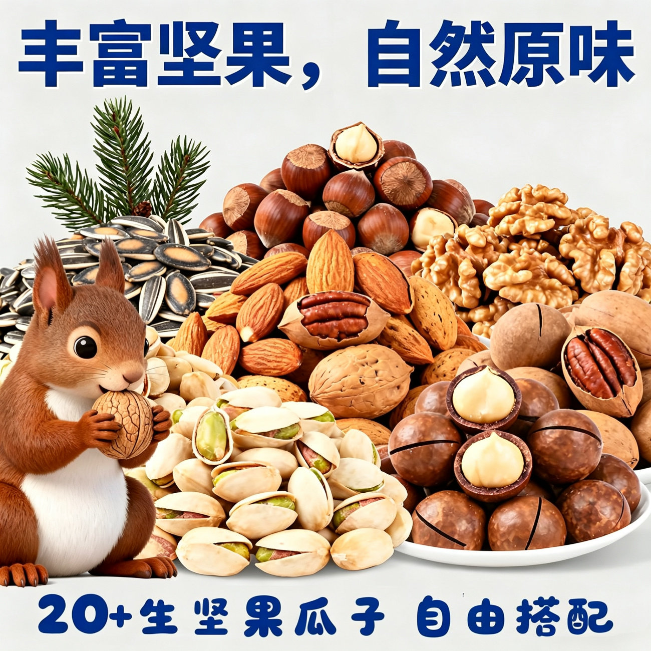 松鼠粮食坚果原料互动零售野外仓鼠松鼠幼崽吃的食物生料瓜子坚果图片