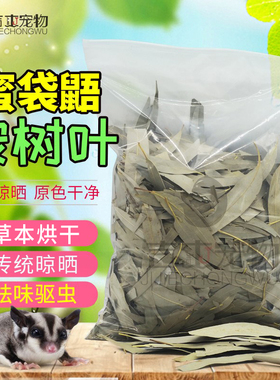 蜜袋鼯用品桉树叶枝桉叶树叶臭虫蜜袋鼬鼬鼠祛味驱虫生活用品全套