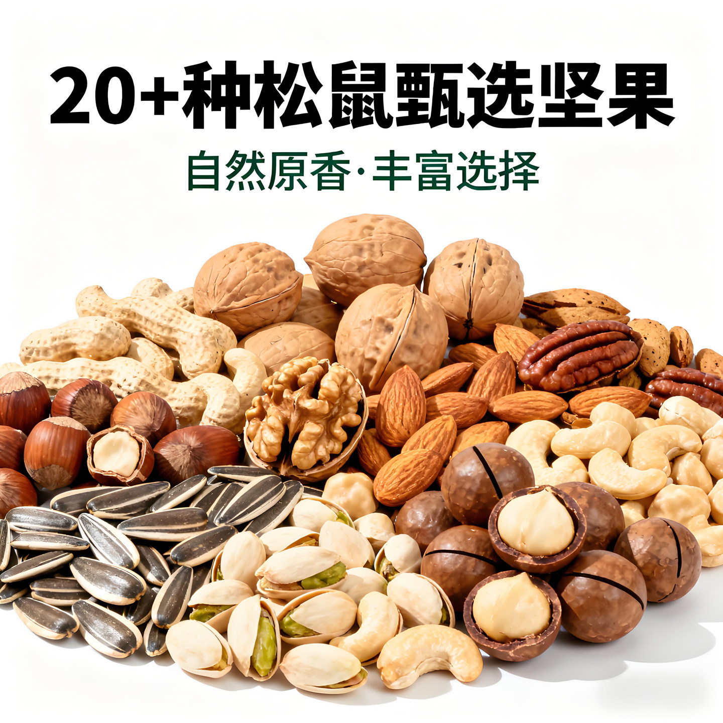 松鼠粮食坚果专用主食磨牙主粮飞鼠宠物松鼠幼崽吃的食物饲料生料
