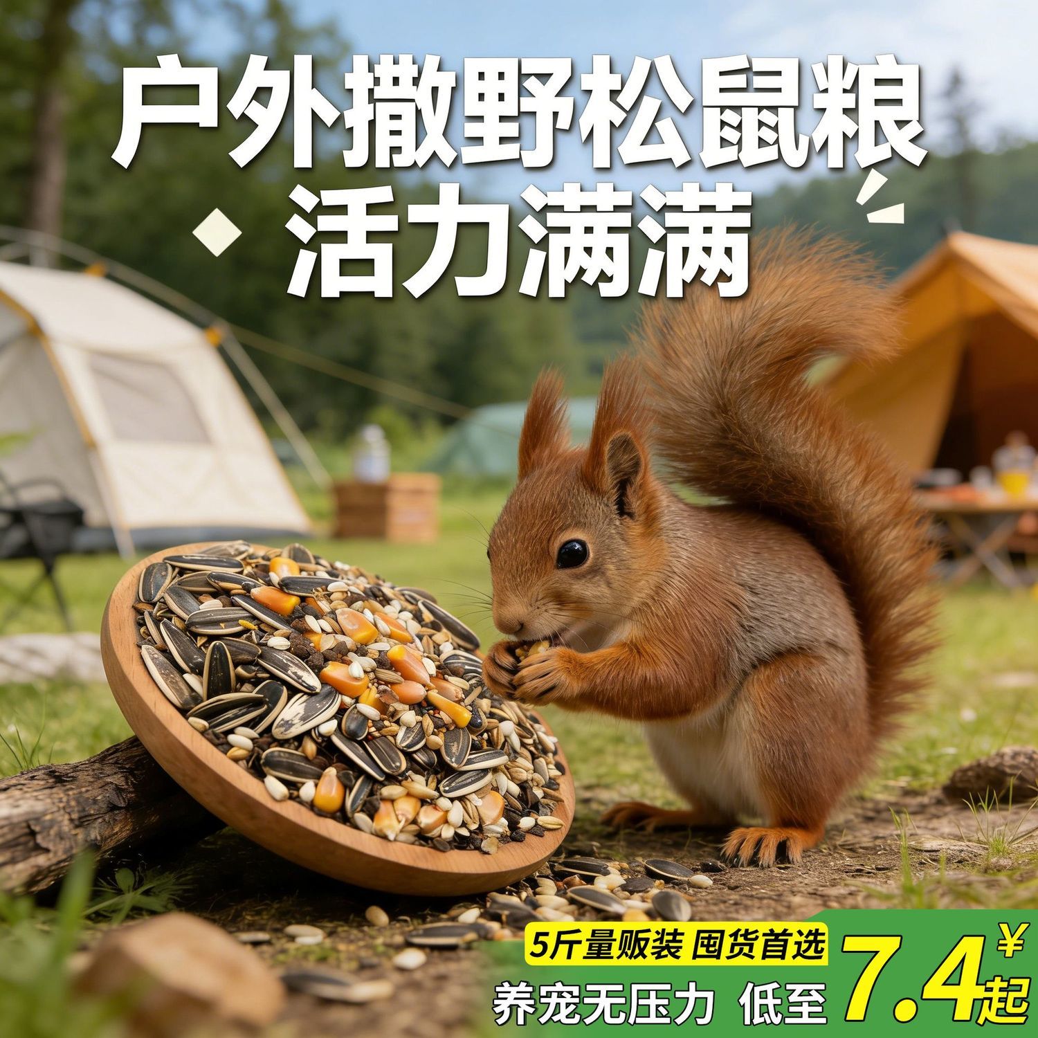 松鼠专用五谷混合杂粮