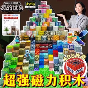 我的世界磁力方块大号方块MC磁铁吸铁石磁吸拼装益智2024儿童玩具