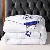 quilt winter Hilton Hotel duvet autumn warm 羽丝绒被芯冬被子