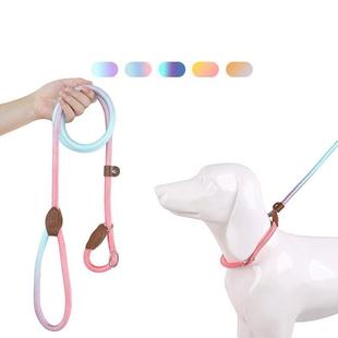 Dog Leashes Dog Slip Lead Dog Training Leash Strong Heavy Du