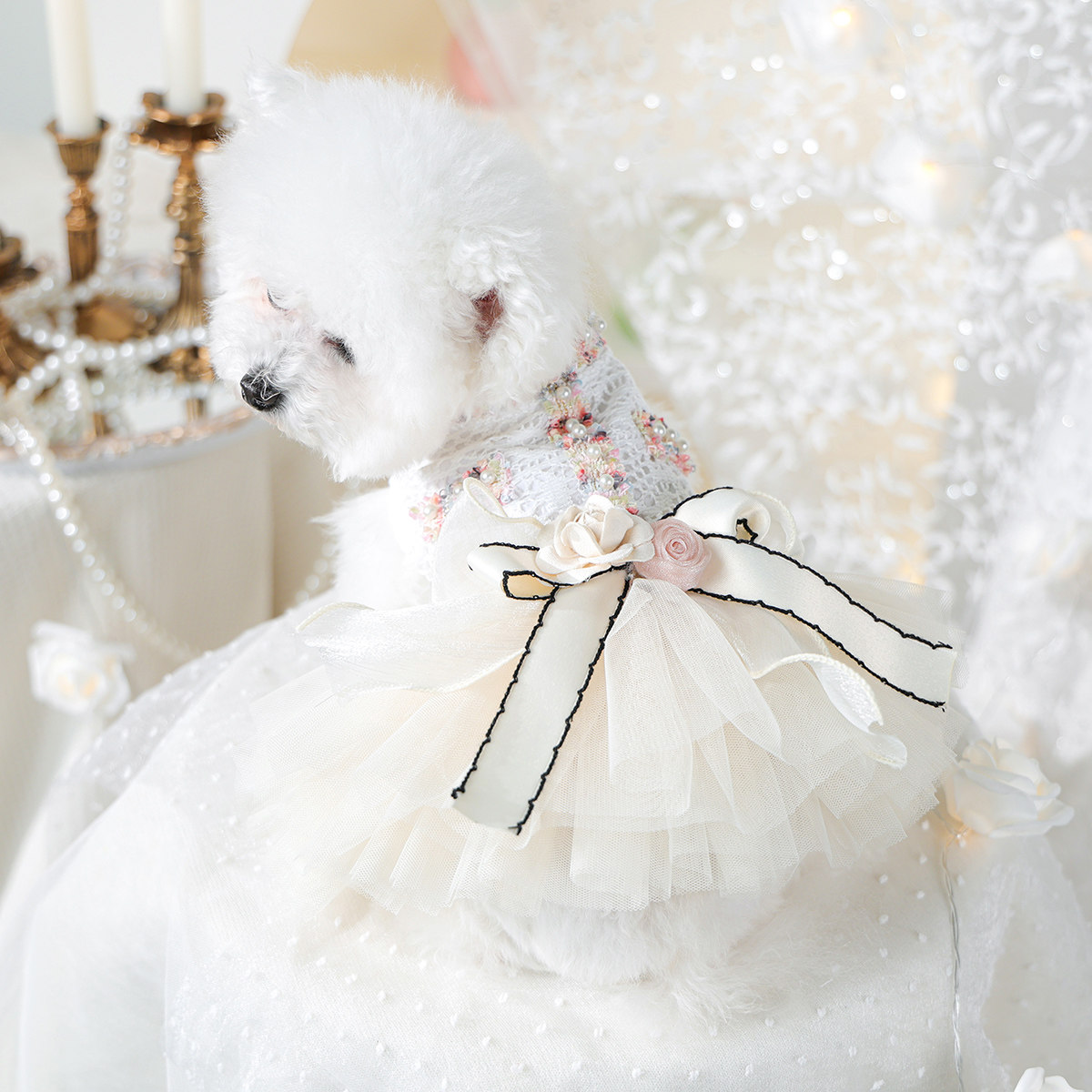 PETCIRCLE宠物狗狗衣服春夏薄款